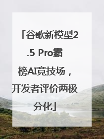 谷歌新模型2.5 Pro霸榜AI竞技场，开发者评价两极分化