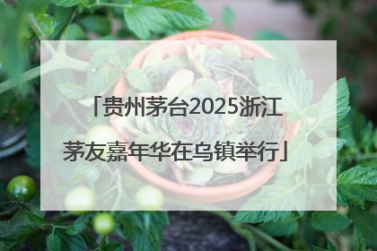 贵州茅台2025浙江茅友嘉年华在乌镇举行