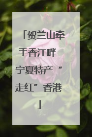 贺兰山牵手香江畔 宁夏特产“走红”香港