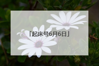 起床号6月6日