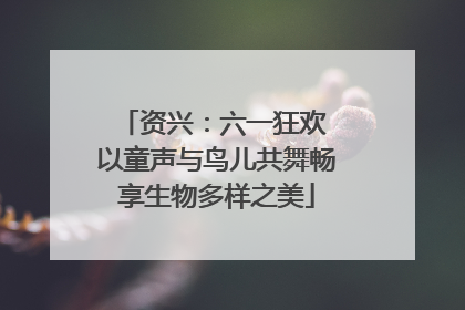 资兴：六一狂欢 以童声与鸟儿共舞畅享生物多样之美