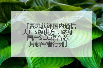 赛思获评国内通信大厂S级供方，跻身国产SLIC语音芯片领军者行列