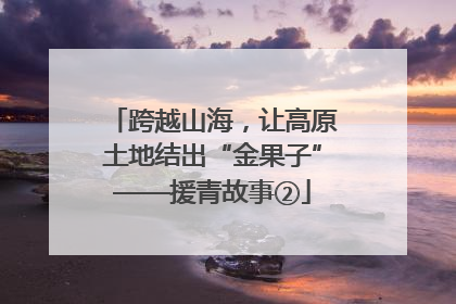 跨越山海，让高原土地结出“金果子”——援青故事②