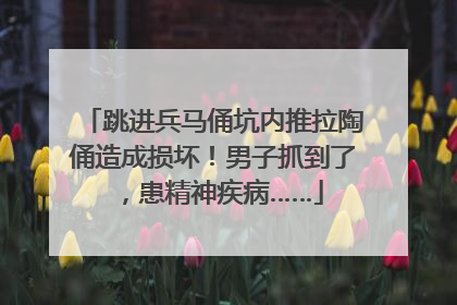 跳进兵马俑坑内推拉陶俑造成损坏！男子抓到了，患精神疾病……