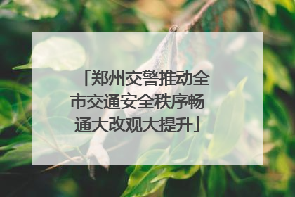 郑州交警推动全市交通安全秩序畅通大改观大提升