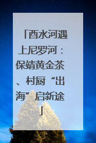 酉水河遇上尼罗河：保靖黄金茶、村厨“出海”启新途