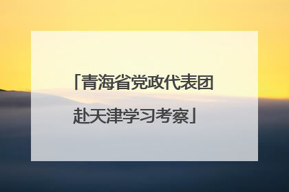 青海省党政代表团赴天津学习考察