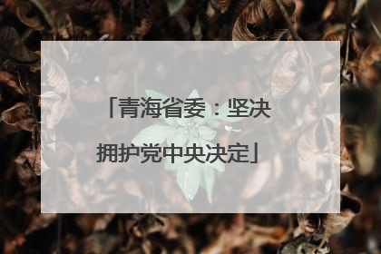 青海省委：坚决拥护党中央决定