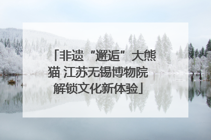 非遗“邂逅”大熊猫 江苏无锡博物院解锁文化新体验