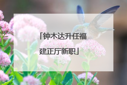 钟木达升任福建正厅新职