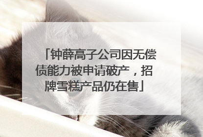 钟薛高子公司因无偿债能力被申请破产，招牌雪糕产品仍在售