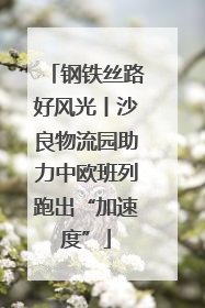 钢铁丝路好风光丨沙良物流园助力中欧班列跑出“加速度”