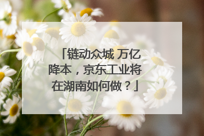 链动众城 万亿降本，京东工业将在湖南如何做？
