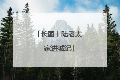 长图丨陆老太一家进城记