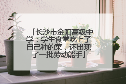 长沙市金阳高级中学：学生食堂吃上了自己种的菜，还出现了一批劳动能手