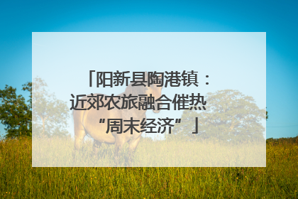 阳新县陶港镇：近郊农旅融合催热“周末经济”