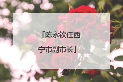 陈永钦任西宁市副市长