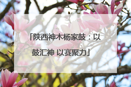 陕西神木杨家鼓：以鼓汇神 以赛聚力