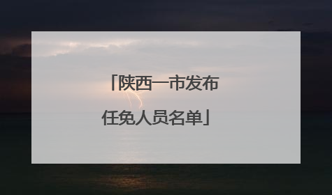 陕西一市发布任免人员名单
