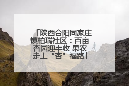 陕西合阳同家庄镇柏瑞社区：百亩杏园迎丰收 果农走上“杏”福路