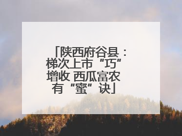 陕西府谷县：梯次上市“巧”增收 西瓜富农有“蜜”诀