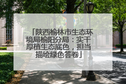 陕西榆林市生态环境局榆阳分局：实干厚植生态底色，担当描绘绿色答卷