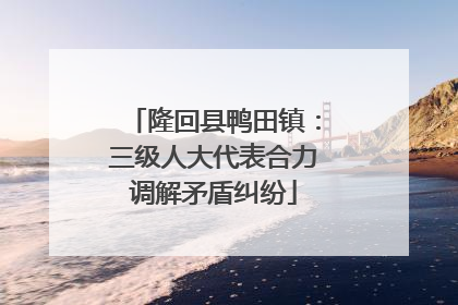 隆回县鸭田镇:三级人大代表合力调解矛盾纠纷