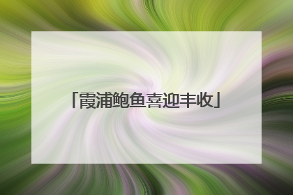 霞浦鲍鱼喜迎丰收