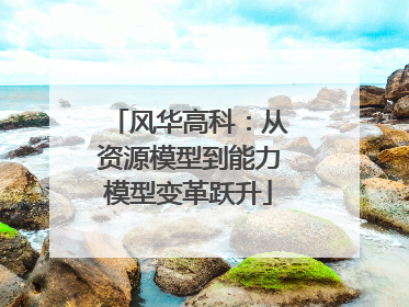 风华高科：从资源模型到能力模型变革跃升