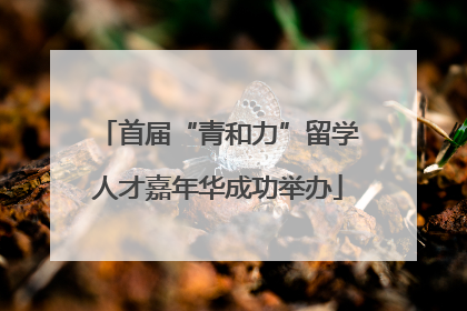 首届“青和力”留学人才嘉年华成功举办