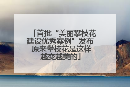 首批“美丽攀枝花建设优秀案例”发布 原来攀枝花是这样越变越美的
