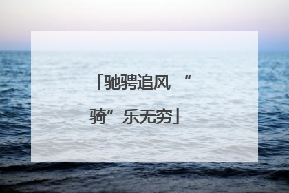 驰骋追风 “骑”乐无穷