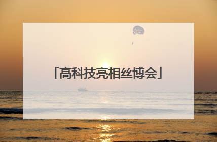 高科技亮相丝博会