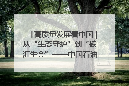 高质量发展看中国｜从“生态守护”到“碳汇生金”——中国石油大庆油田绿色蝶变