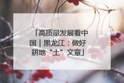 高质量发展看中国｜黑龙江：做好耕地“土”文章