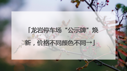 龙岩停车场“公示牌”焕新，价格不同颜色不同→