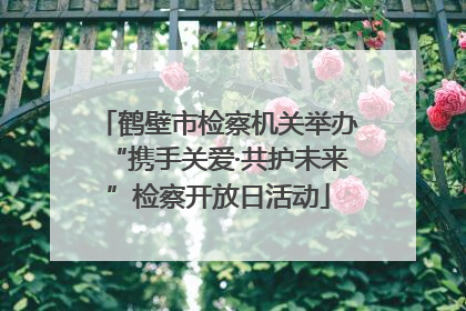 鹤壁市检察机关举办“携手关爱·共护未来”检察开放日活动