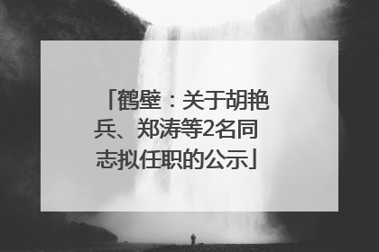 鹤壁：关于胡艳兵、郑涛等2名同志拟任职的公示