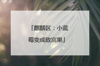 麒麟区：小蓝莓变成致富果