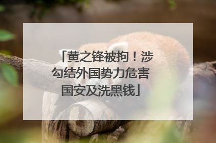 黄之锋被拘！涉勾结外国势力危害国安及洗黑钱