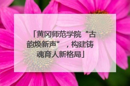 黄冈师范学院“古韵焕新声”，构建铸魂育人新格局