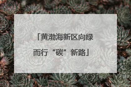 黄渤海新区向绿而行“碳”新路