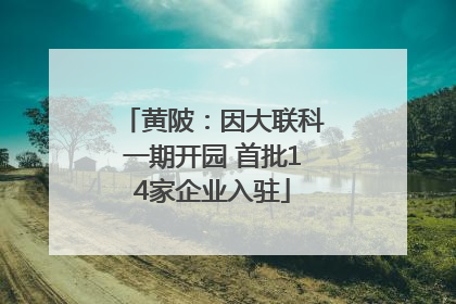 黄陂：因大联科一期开园 首批14家企业入驻
