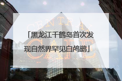黑龙江千鹤岛首次发现自然界罕见白鸬鹚