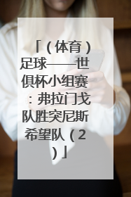 （体育）足球——世俱杯小组赛：弗拉门戈队胜突尼斯希望队（2）