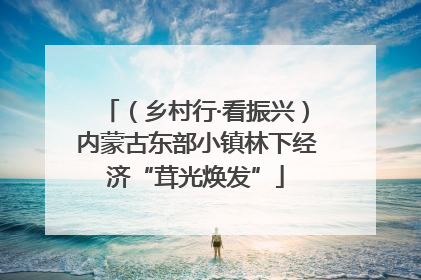 （乡村行·看振兴）内蒙古东部小镇林下经济“茸光焕发”