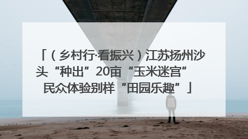 （乡村行·看振兴）江苏扬州沙头“种出”20亩“玉米迷宫” 民众体验别样“田园乐趣”