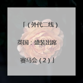 （外代二线）英国：盛装出席赛马会（2）