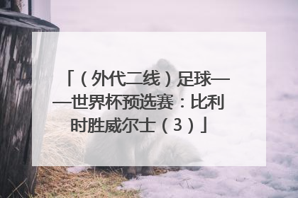 （外代二线）足球——世界杯预选赛：比利时胜威尔士（3）