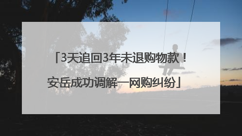3天追回3年未退购物款！安岳成功调解一网购纠纷